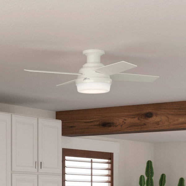Hunter Dempsey 44" Ceiling Fan Fresh White, Ceiling Fan for Home